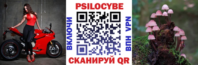 Галлюциногенные грибы мухоморы  Каменск-Шахтинский 